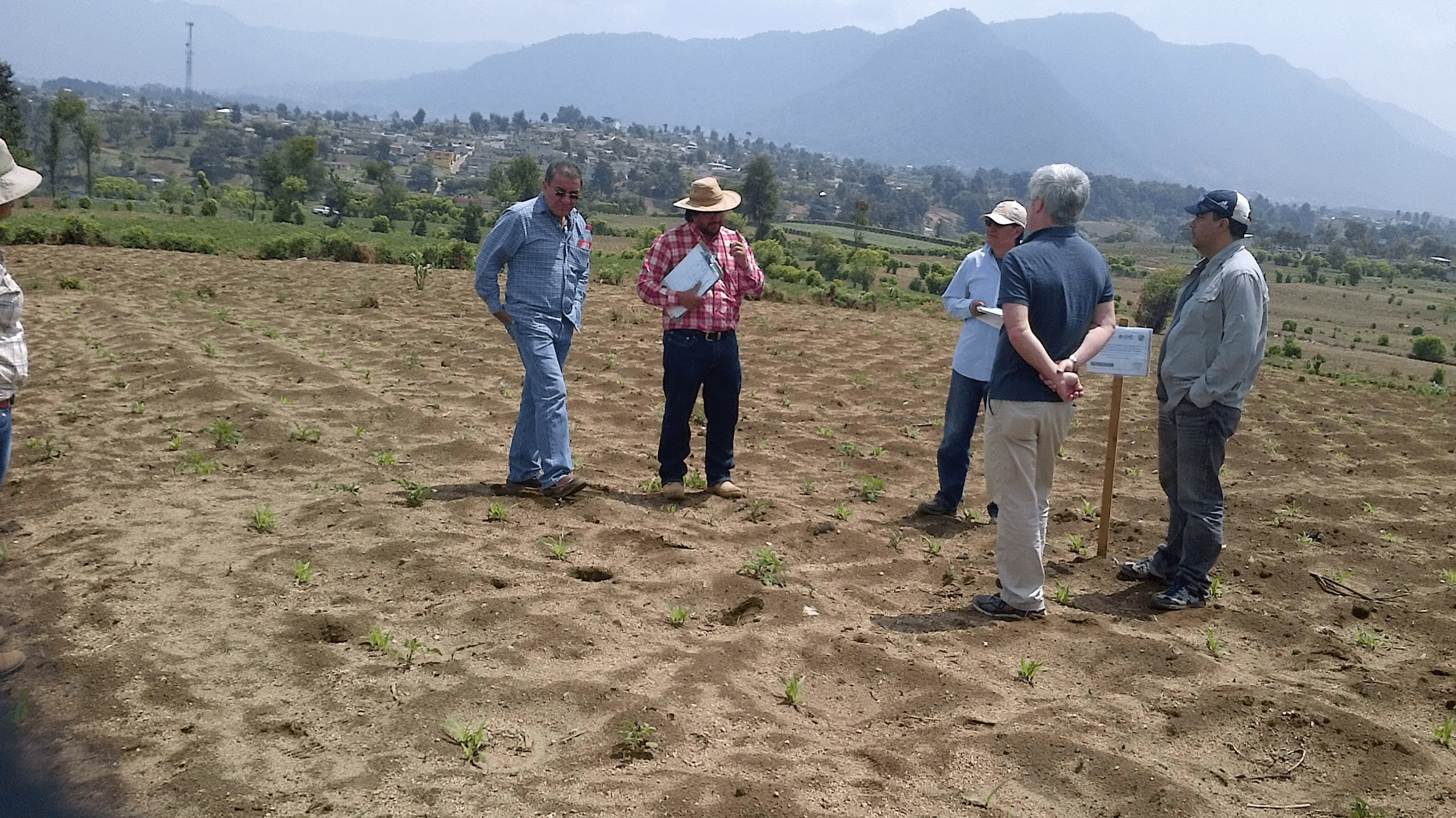 Fitomejoradores del cultivo de frijol visitan ensayos de finca